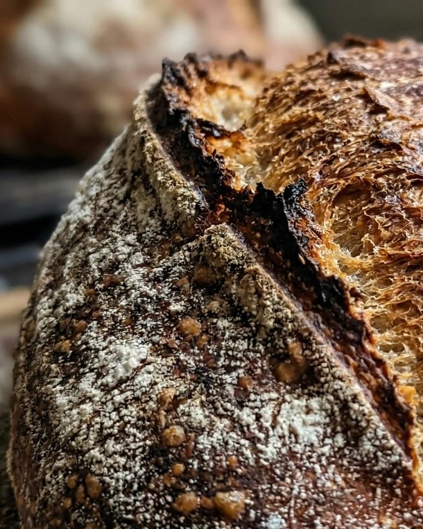 Crosta dourada de uma baguette tradition
